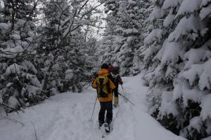 IMG 20110308 112953