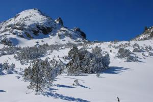 IMG 20110310 105107
