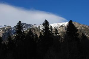 IMG 20110310 163256