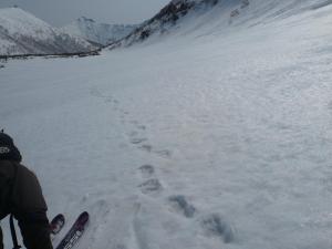 IMG 20080423 023850 1