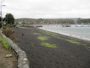 Chili, Pucon  