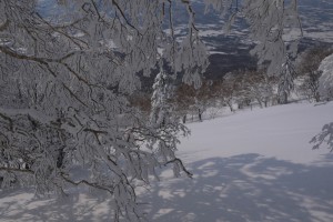 P1050125 